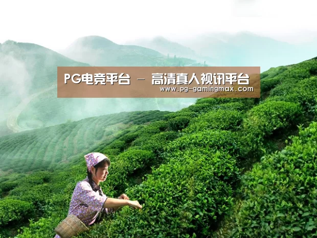 PG电竞平台 - 高清真人视讯平台