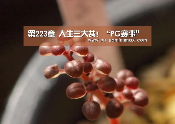 第223章 人生三大共！“PG赛事”