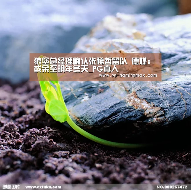 狼堡总经理确认张稀哲留队 德媒:或呆至明年冬天_PG真人(图2) PG赛事