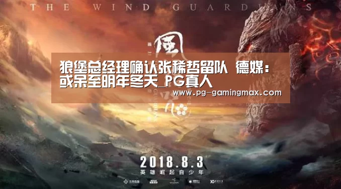 狼堡总经理确认张稀哲留队 德媒:或呆至明年冬天_PG真人(图1) PG赛事