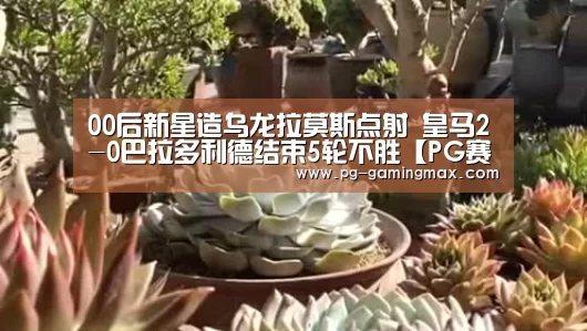 PG电竞